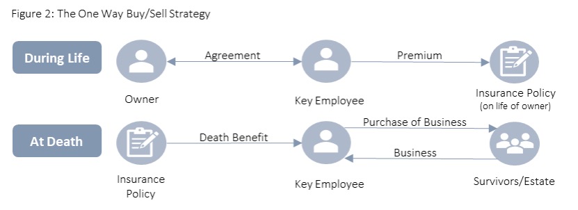 Single Owner Succession - Figure 2